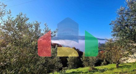 Commercial - Hotel - T12 - Cerdeira e Moura da Serra, Arganil - PT