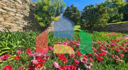 Commercial - Hotel - T12 - Cerdeira e Moura da Serra, Arganil - PT