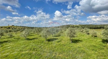 Residential - Farm - T6 - Estremoz (Santa Maria e Santo André), Estremoz - PT