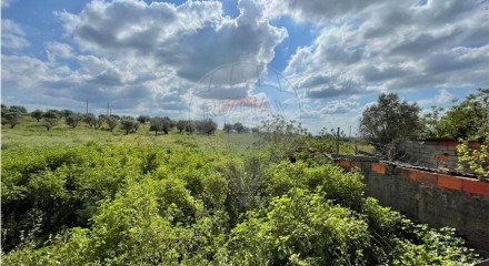 Residential - Farm - T6 - Estremoz (Santa Maria e Santo André), Estremoz - PT