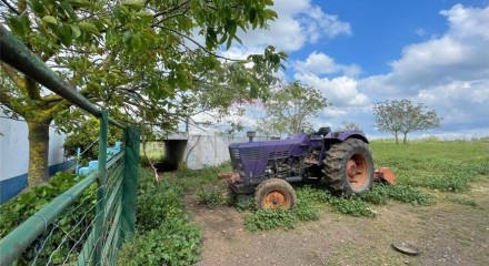 Residential - Farm - T6 - Estremoz (Santa Maria e Santo André), Estremoz - PT