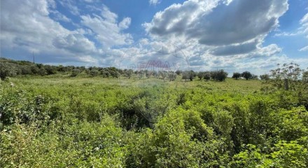 Residential - Farm - T6 - Estremoz (Santa Maria e Santo André), Estremoz - PT