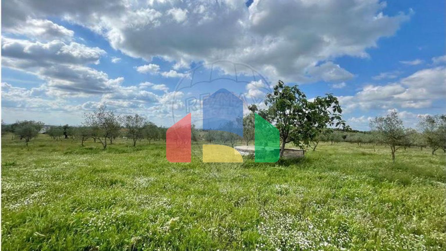 Residential - Farm - T6 - Estremoz (Santa Maria e Santo André), Estremoz - PT