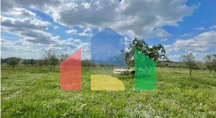 Residential - Farm - T6 - Estremoz (Santa Maria e Santo André), Estremoz - PT