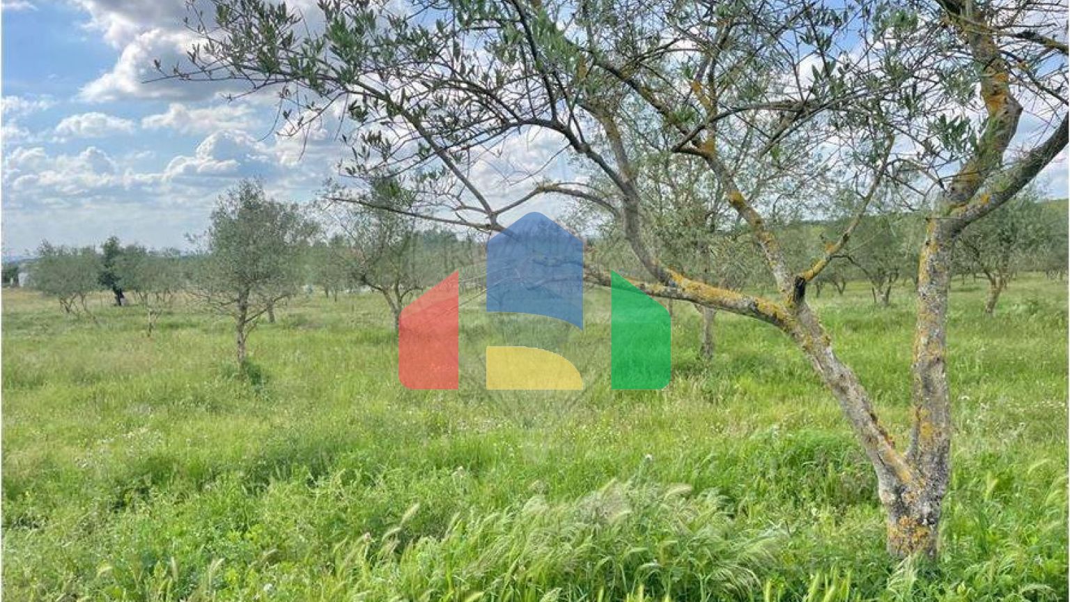 Residential - Farm - T6 - Estremoz (Santa Maria e Santo André), Estremoz - PT