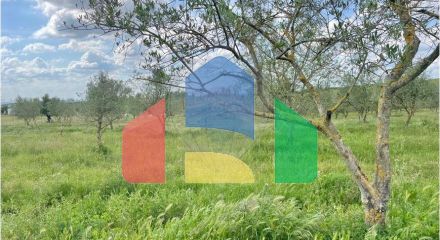 Residential - Farm - T6 - Estremoz (Santa Maria e Santo André), Estremoz - PT