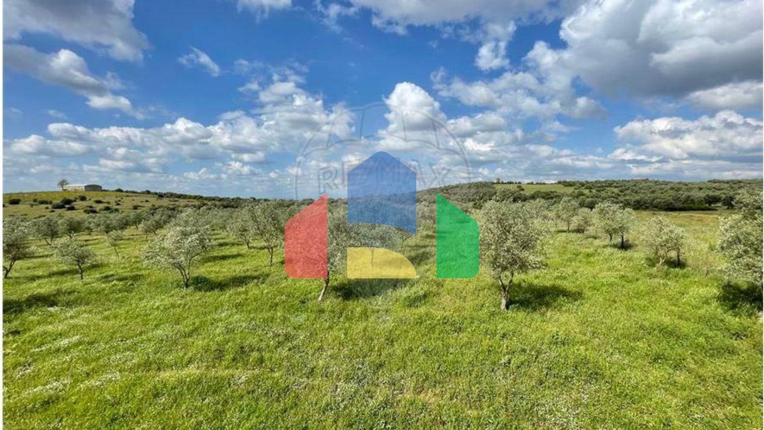 Residential - Farm - T6 - Estremoz (Santa Maria e Santo André), Estremoz - PT