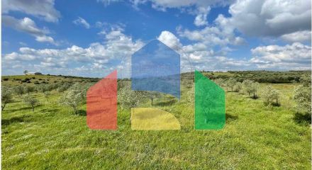 Residential - Farm - T6 - Estremoz (Santa Maria e Santo André), Estremoz - PT