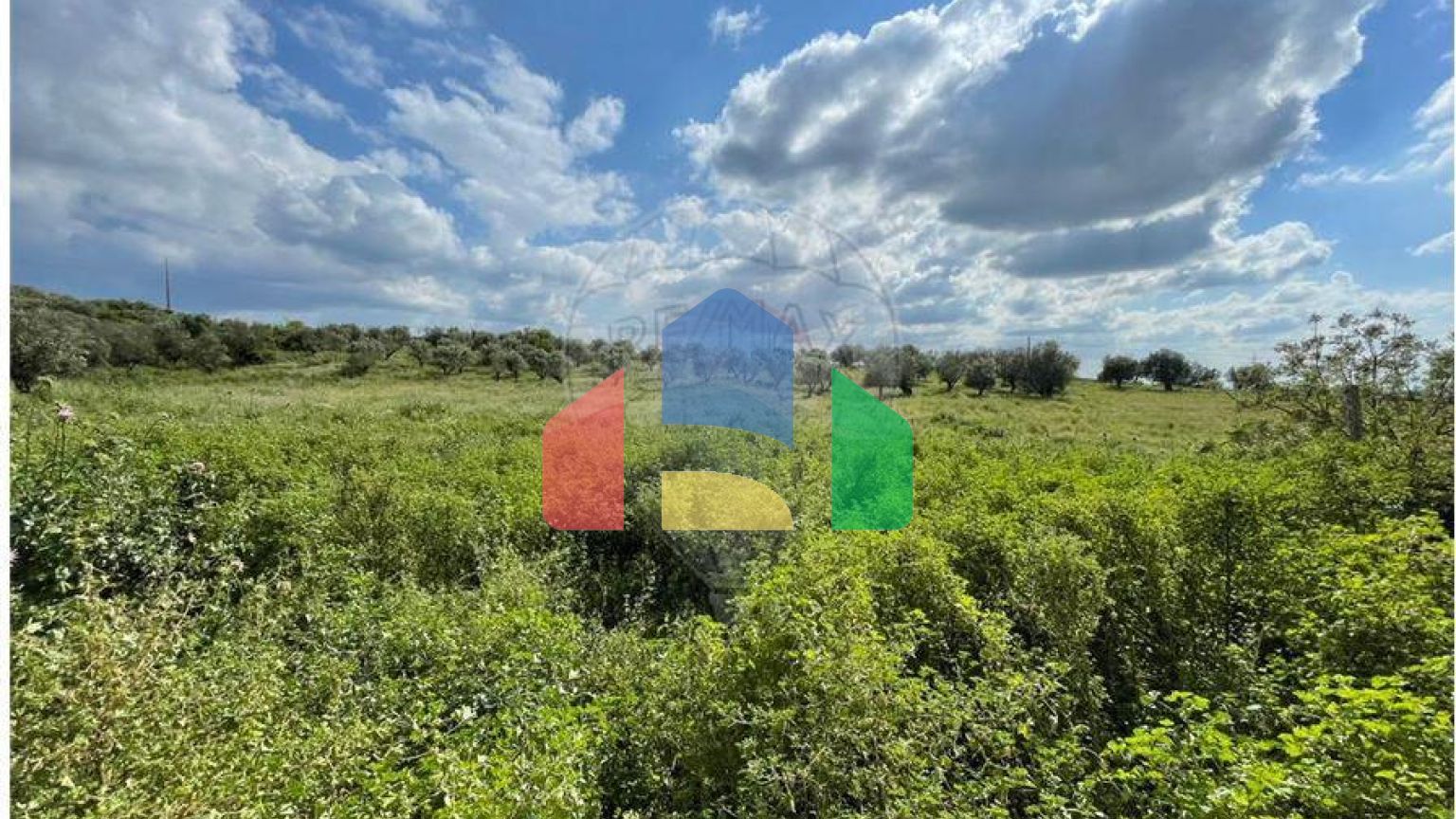 Residential - Farm - T6 - Estremoz (Santa Maria e Santo André), Estremoz - PT