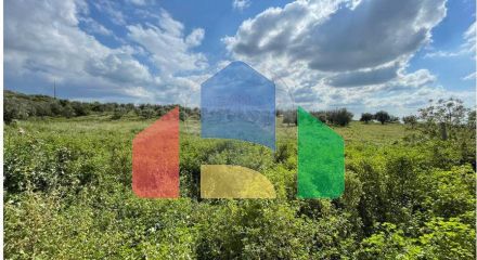 Residential - Farm - T6 - Estremoz (Santa Maria e Santo André), Estremoz - PT