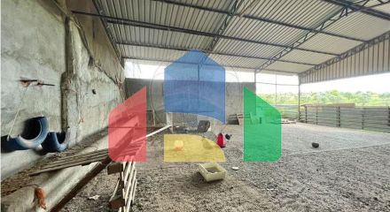 Residential - Farm - T6 - Estremoz (Santa Maria e Santo André), Estremoz - PT