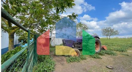 Residential - Farm - T6 - Estremoz (Santa Maria e Santo André), Estremoz - PT