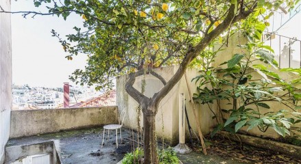 Residential - New Builds - T6 - Santa Maria Maior, Lisbon - PT