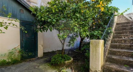Residential - New Builds - T6 - Santa Maria Maior, Lisbon - PT