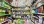 Commercial - Sale of Business - Misericórdia, Lisbon - PT