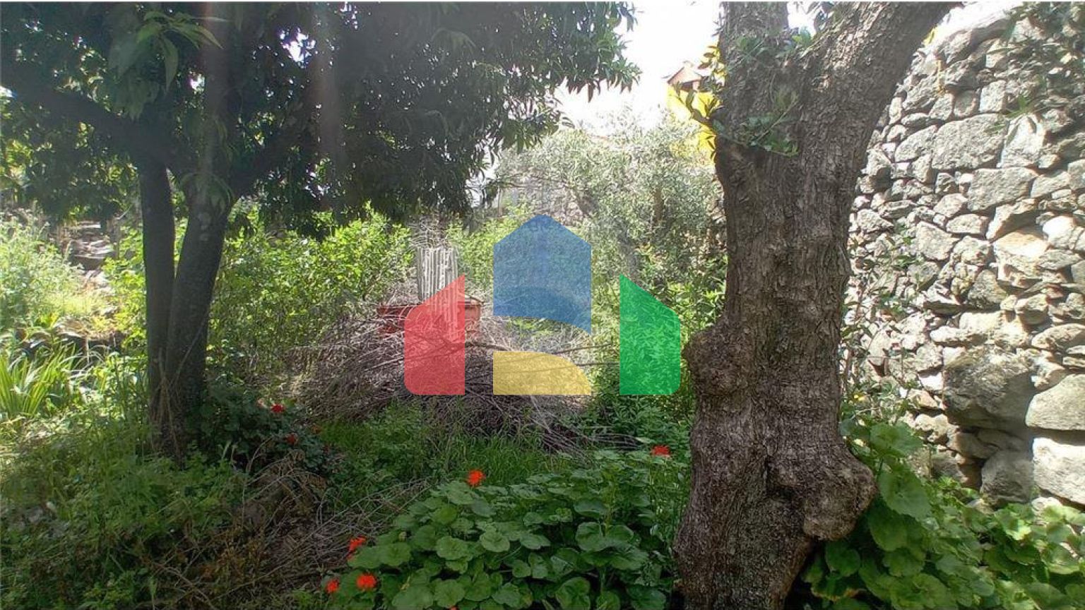 Residential - Single Family Home - T3 - Alcains, Castelo Branco - PT