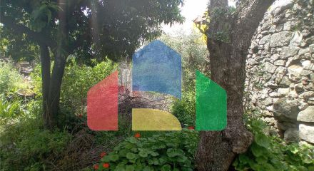 Residential - Single Family Home - T3 - Alcains, Castelo Branco - PT Residential - Single Family Home - T3 - Alcains, Castelo Branco - PT