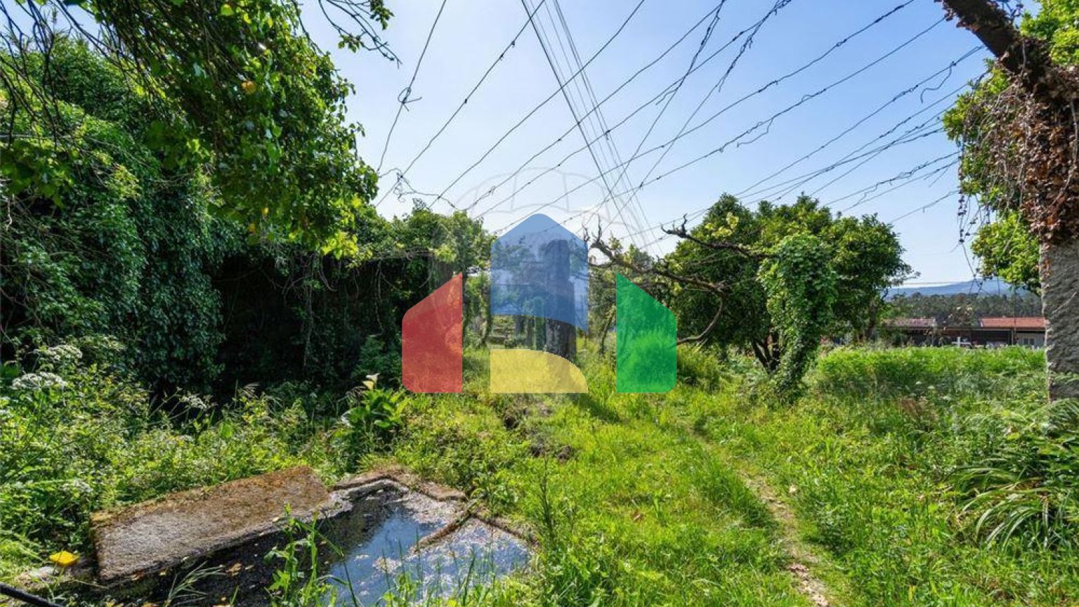 Residential - Farm - T4 - Seara, Ponte de Lima - PT