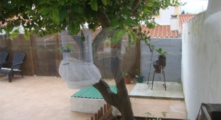 Residential - Single Family Home - T4 - Cabeco de Vide, Fronteira - PT
