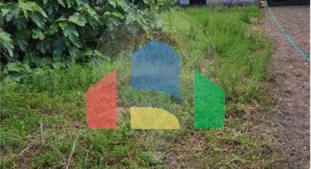 Residential - Single Family Home - T3 - Campo e Campinho, Reguengos de Monsaraz - PT