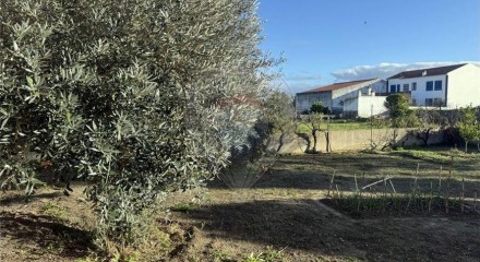Residential - Single Family Home - T4 - Ermidas-Sado, Santiago do Cacem - PT