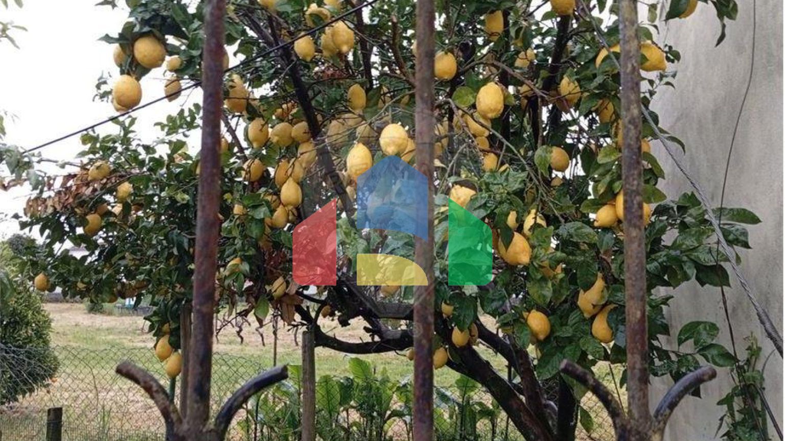 Residential - Condo/Apartment - T2 - Tondela e Nandufe, Tondela - PT