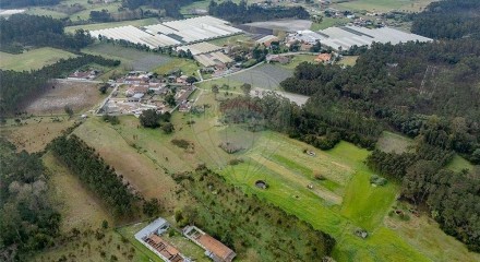 Residential - Land - Carapinheira, Montemor-o-Velho - PT