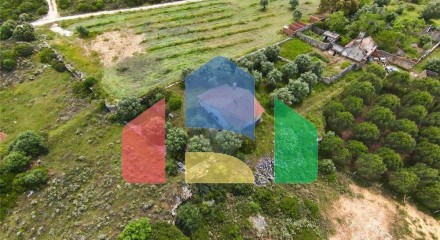 Residential - Single Family Home - T2 - Alcanena e Vila Moreira, Alcanena - PT