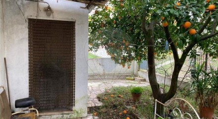 Residential - Single Family Home - T3 - São Miguel do Rio Torto e Rossio ao Sul do Tejo, Abrantes - PT