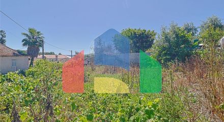 Residential - Single Family Home - T2 - Arrifana, Vila Nova de Poiares - PT