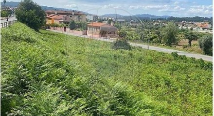 Residential - Land - Arrifana, Vila Nova de Poiares - PT