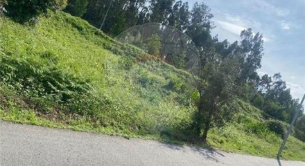 Residential - Land - Arrifana, Vila Nova de Poiares - PT