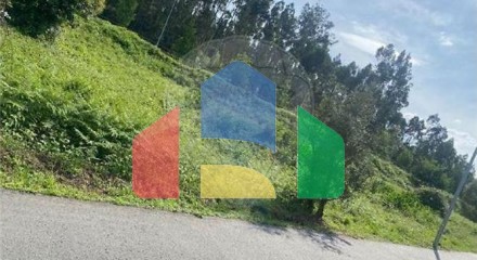 Residential - Land - Arrifana, Vila Nova de Poiares - PT