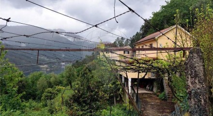 Residential - Single Family Home - T6 - Vilar da Veiga, Terras de Bouro - PT
