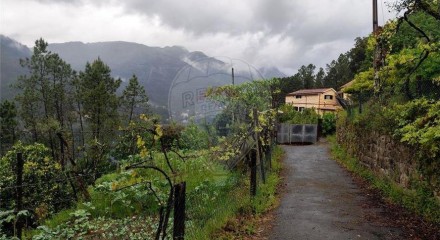 Residential - Single Family Home - T6 - Vilar da Veiga, Terras de Bouro - PT