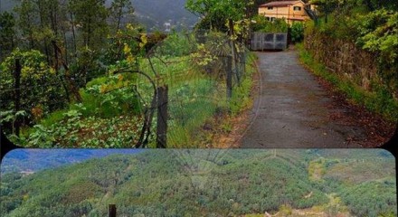 Residential - Single Family Home - T6 - Vilar da Veiga, Terras de Bouro - PT