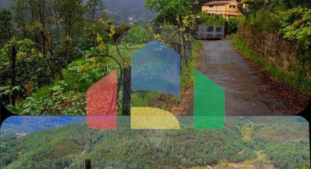 Residential - Single Family Home - T6 - Vilar da Veiga, Terras de Bouro - PT