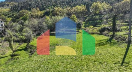 Residential - Single Family Home - T6 - Vilar da Veiga, Terras de Bouro - PT