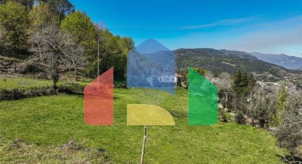 Residential - Single Family Home - T6 - Vilar da Veiga, Terras de Bouro - PT