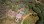 Residential - Land - Odiaxere, Lagos - PT