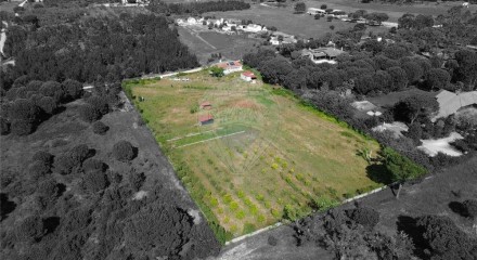 Residential - Single Family Home - T2 - Branca, Coruche - PT
