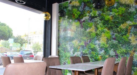Commercial - Sale of Business - Alvalade, Lisbon - PT