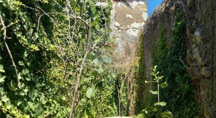 Residential - Single Family Home - T3 - Olaia e Paço, Torres Novas - PT