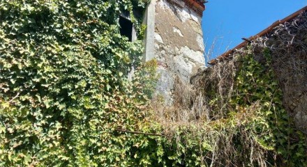 Residential - Single Family Home - T3 - Olaia e Paço, Torres Novas - PT