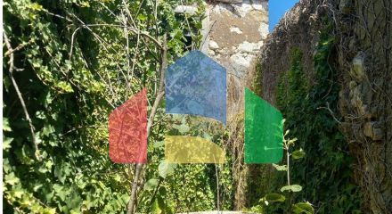 Residential - Single Family Home - T3 - Olaia e Paço, Torres Novas - PT