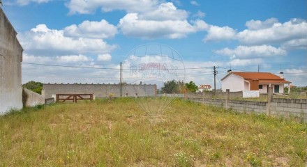 Residential - Land - Carregueira, Chamusca - PT