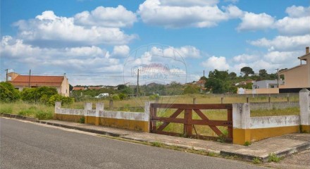 Residential - Land - Carregueira, Chamusca - PT