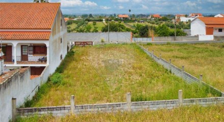 Residential - Land - Carregueira, Chamusca - PT