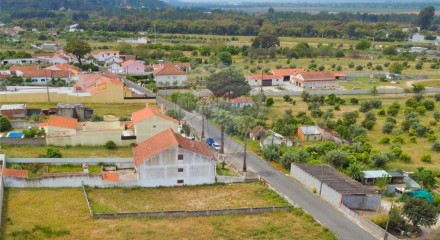 Residential - Land - Carregueira, Chamusca - PT