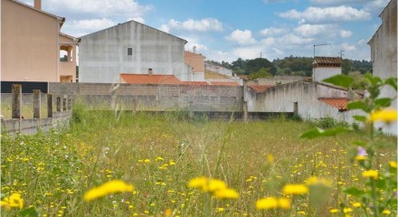Residential - Land - Carregueira, Chamusca - PT